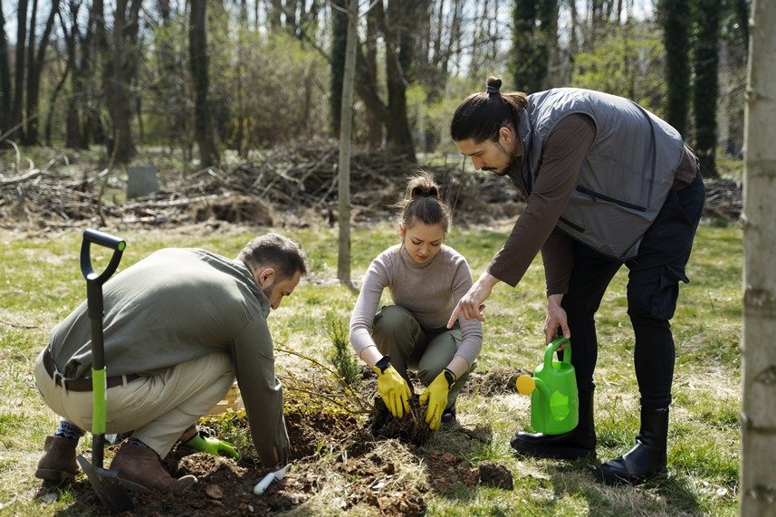 reforestacion golf canary islands